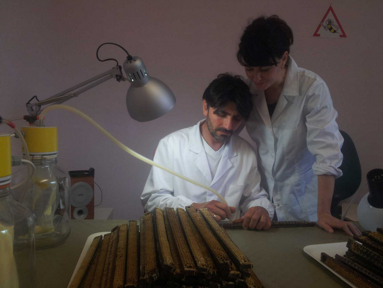 Corso teorico di produzione della pappa reale
