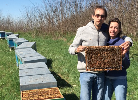 Corso teorico di selezione delle api regine