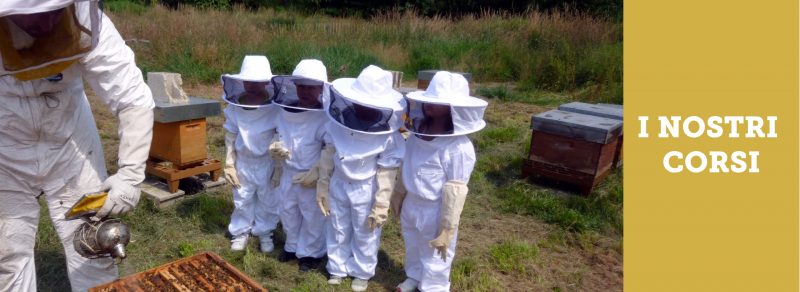 Corsi di introduzione all’apicoltura 2024
