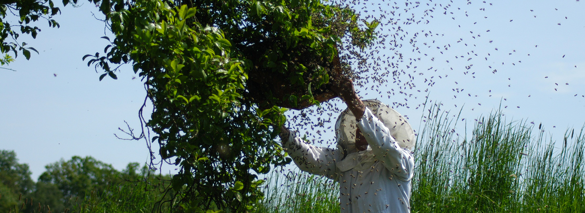 Adempimenti dell'apicoltore