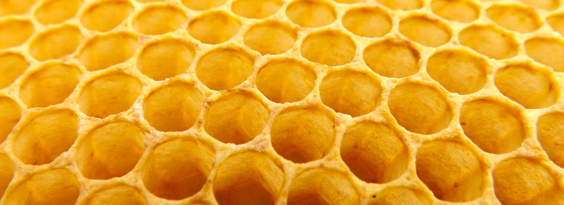 Modulistica per l'apicoltore