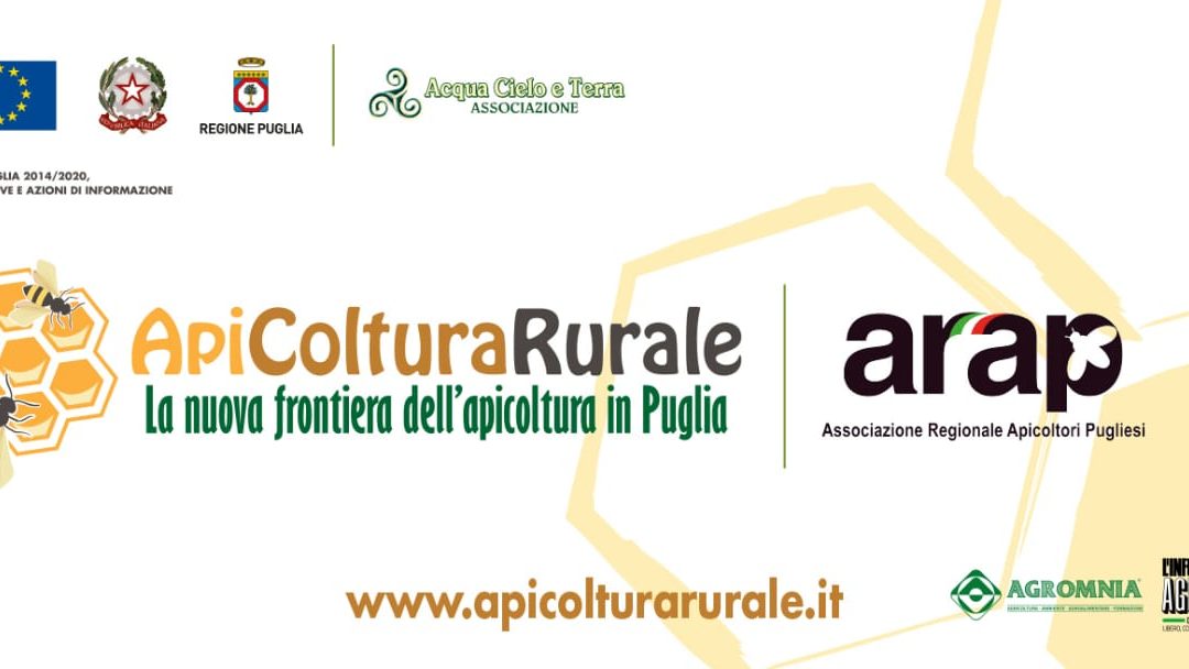 Apicoltura Rurale la nuova frontiera dell’apicoltura in Puglia