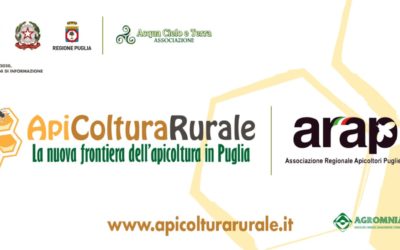 Apicoltura Rurale la nuova frontiera dell’apicoltura in Puglia