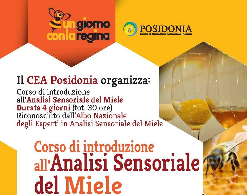 Corso di analisi sensoriale del miele 2020 – Lecce