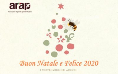 Buon Natale e Felice 2020
