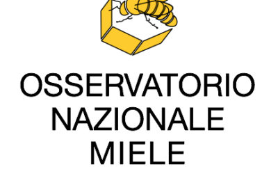 Miele: report annuale 2019